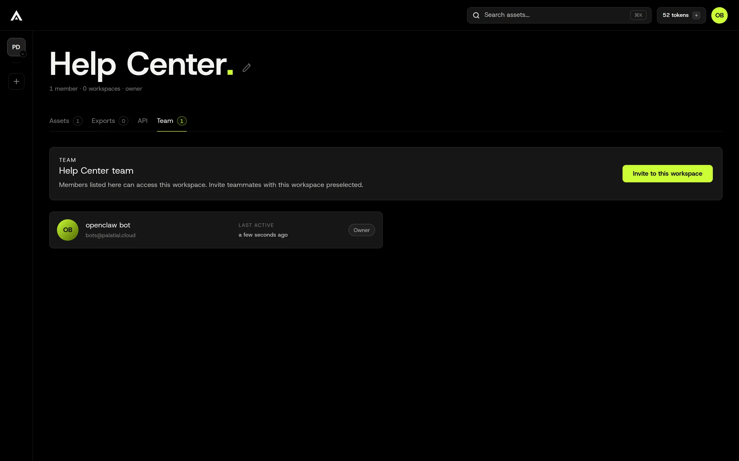 A workspace's Team tab. The organization is in the left rail (PD); the workspace is the page.